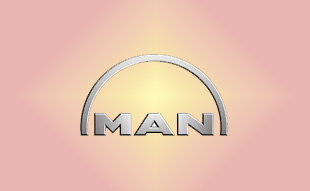 ✓ MAN N2.93420.0029 Запчасти МАН (MAN) 